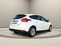 Ford Focus Titanium Weiß - thumbnail 7