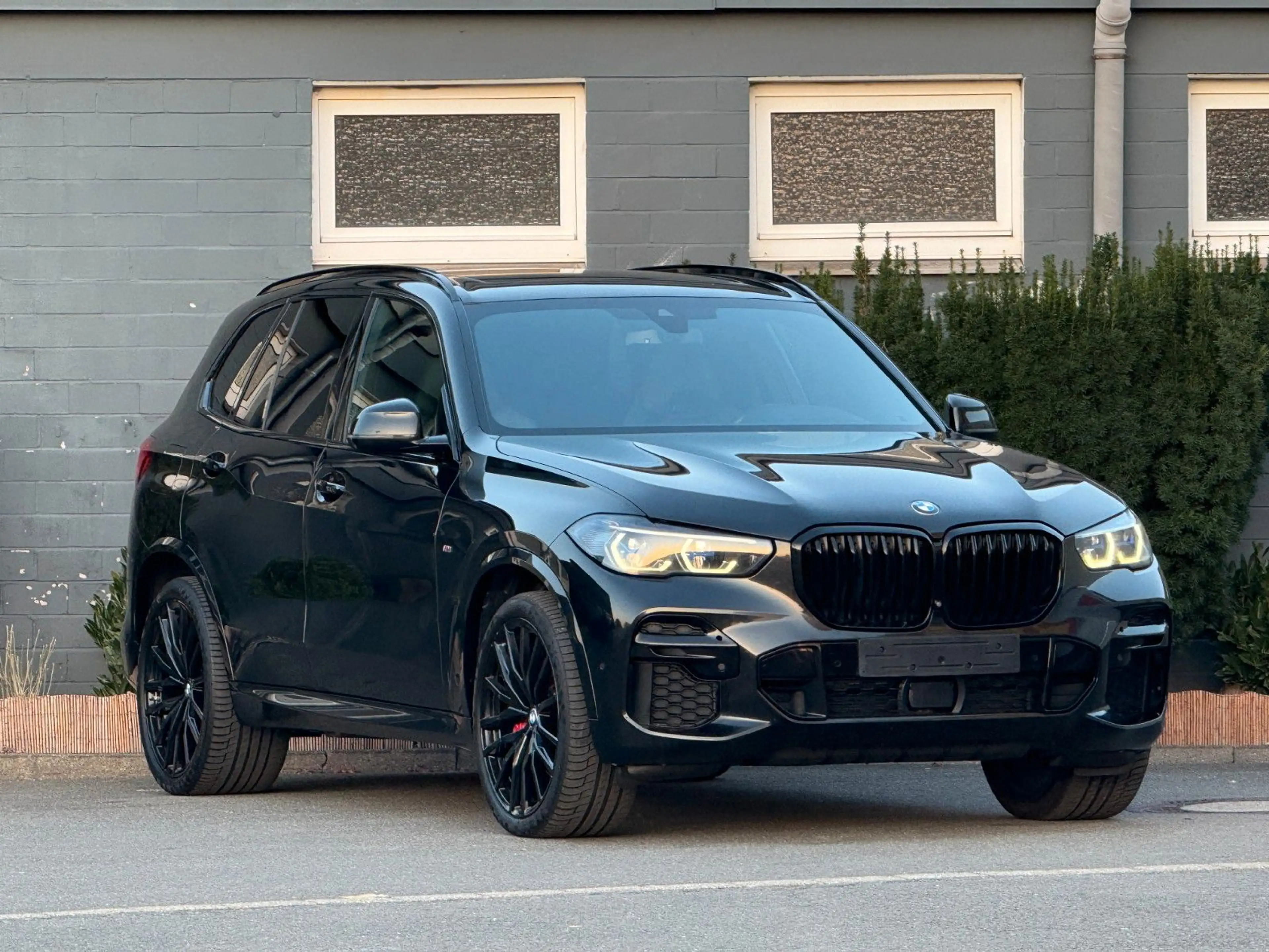 BMW X5 xDrive 30d*M Sport*M Sitz*HuD*Laser*Pano*360° — photo 3