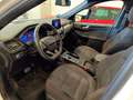 Ford Kuga 2.5 Duratec PHEV ST-Line 4x2 Blanco - thumbnail 9