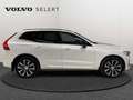 Volvo XC60 B4 Ultimate Dark / Diesel Blanc - thumbnail 6
