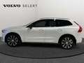 Volvo XC60 B4 Ultimate Dark / Diesel Blanc - thumbnail 23