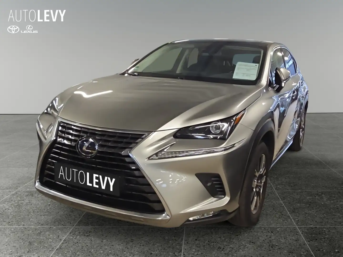 Lexus NX 300 h Executive +LED+Pano+Leder+Navi+AHK+ Argent - 1