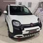 Fiat Panda 1.0 Cross firefly hybrid NO VINCOLI FINANZIARI Bianco - thumbnail 2