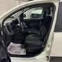 Fiat Panda 1.0 Cross firefly hybrid NO VINCOLI FINANZIARI Bianco - thumbnail 7