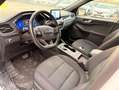 Ford Kuga 2.5 Duratec FHEV ST-Line AWD Aut. Blanco - thumbnail 8