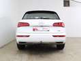 Audi Q5 2.0 TDI quattro Sport Weiß - thumbnail 5