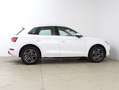 Audi Q5 2.0 TDI quattro Sport Weiß - thumbnail 4
