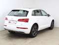 Audi Q5 2.0 TDI quattro Sport Weiß - thumbnail 3