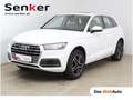 Audi Q5 2.0 TDI quattro Sport Weiß - thumbnail 1