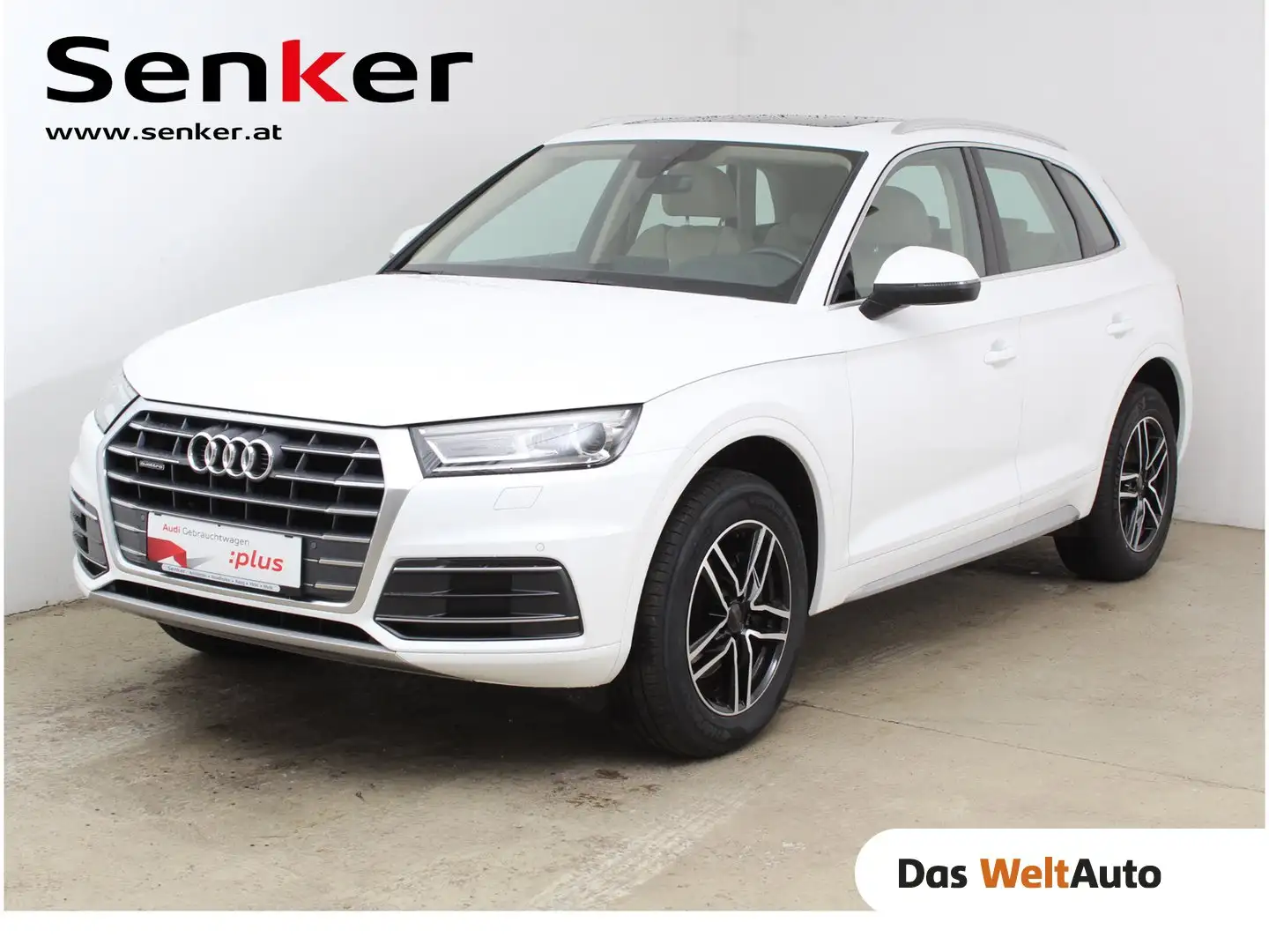 Audi Q5 2.0 TDI quattro Sport Weiß - 1