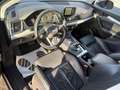 Audi Q5 35 TDi Quattro Business Edition Sport S Tronic Negro - thumbnail 7