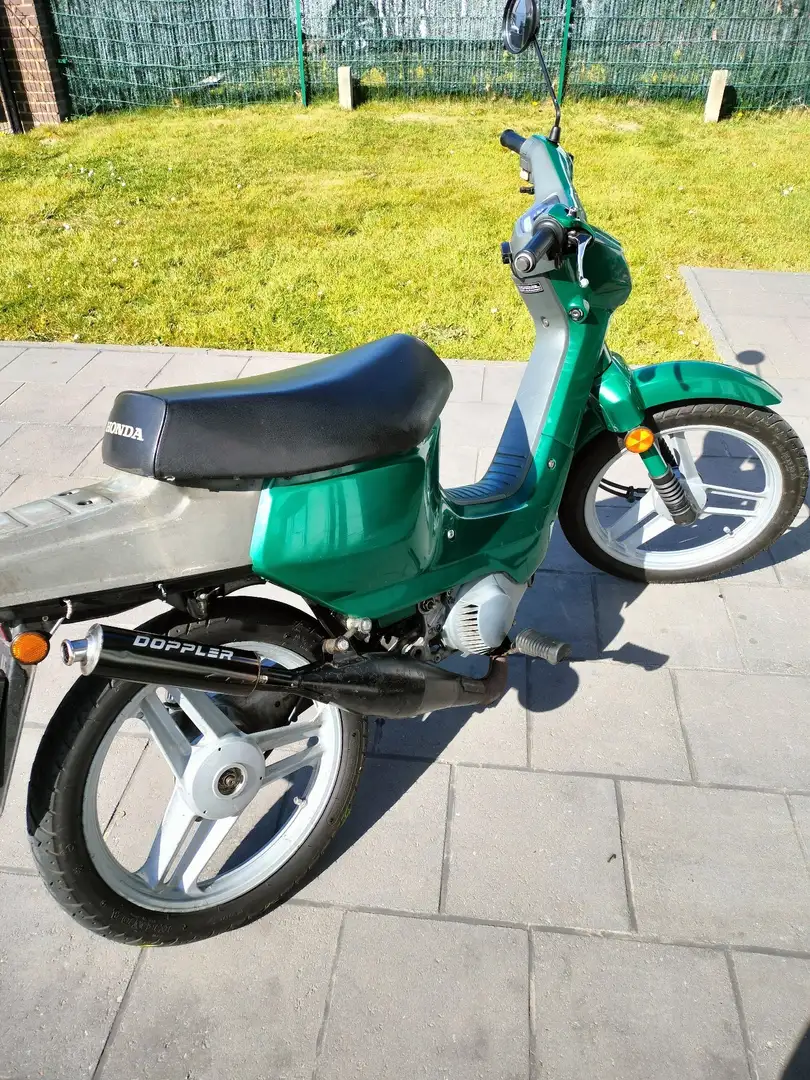 Honda PK 50 Wallaroo Vert - 2