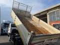 Renault Alaskan Renault Midlum - thumbnail 6