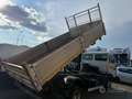 Renault Alaskan Renault Midlum - thumbnail 4