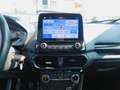 Ford EcoSport 1.0 EcoBoost 125 CV S&S  Active Blu/Azzurro - thumbnail 11
