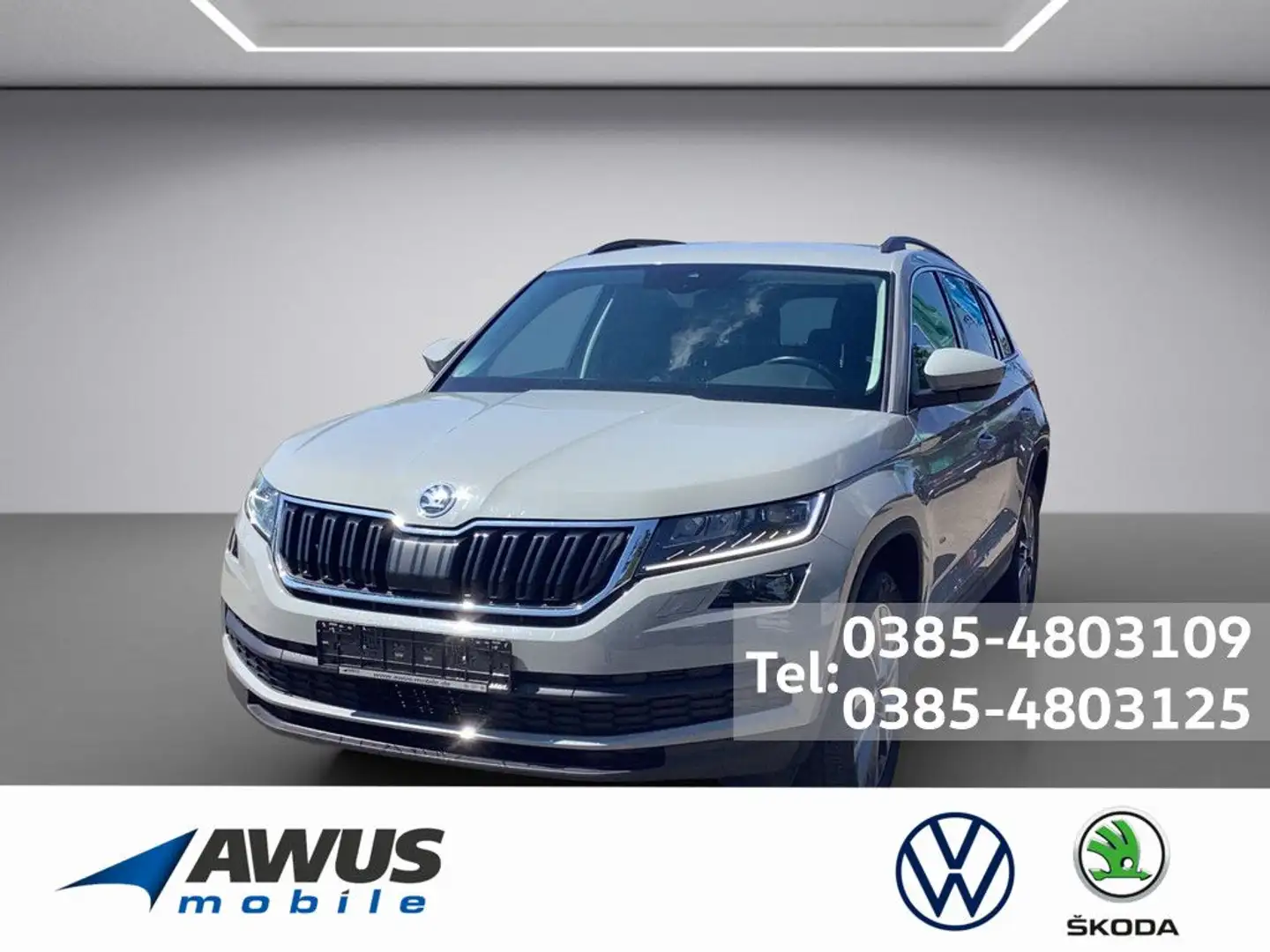 Skoda Kodiaq 2.0TSI DSG 4x4 Clever AHK Grau - 1