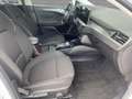 Ford Focus Turnier 1.5 EcoBlue Titanium Automatik Weiß - thumbnail 8