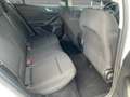 Ford Focus Turnier 1.5 EcoBlue Titanium Automatik Weiß - thumbnail 9