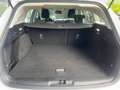 Ford Focus Turnier 1.5 EcoBlue Titanium Automatik Weiß - thumbnail 18