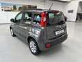 Fiat Panda 1.2 Lounge 69cv E6 Grigio - thumbnail 7