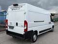 Peugeot Boxer Kasten 335 L3H2 Premium *KLIMA*KAMERA* Weiß - thumbnail 8