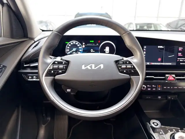 Kia E-Niro view 10