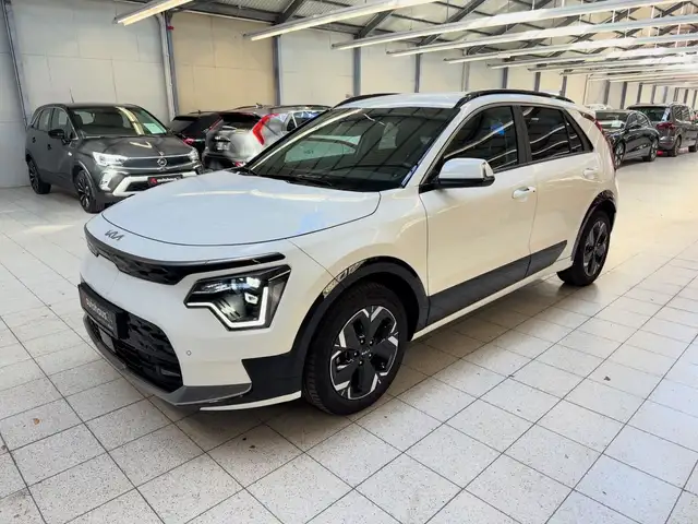 Kia E-Niro view 3