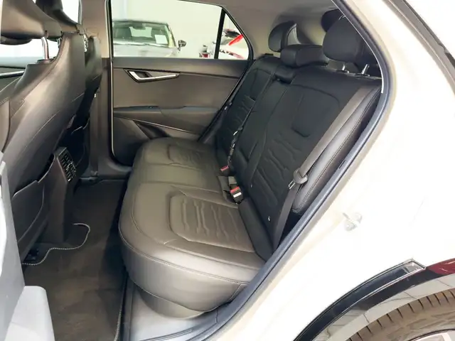 Kia E-Niro view 15