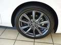 Mazda 3 Selection 150 PS *Design-Paket*Premiumpaket*VFW* Weiß - thumbnail 12