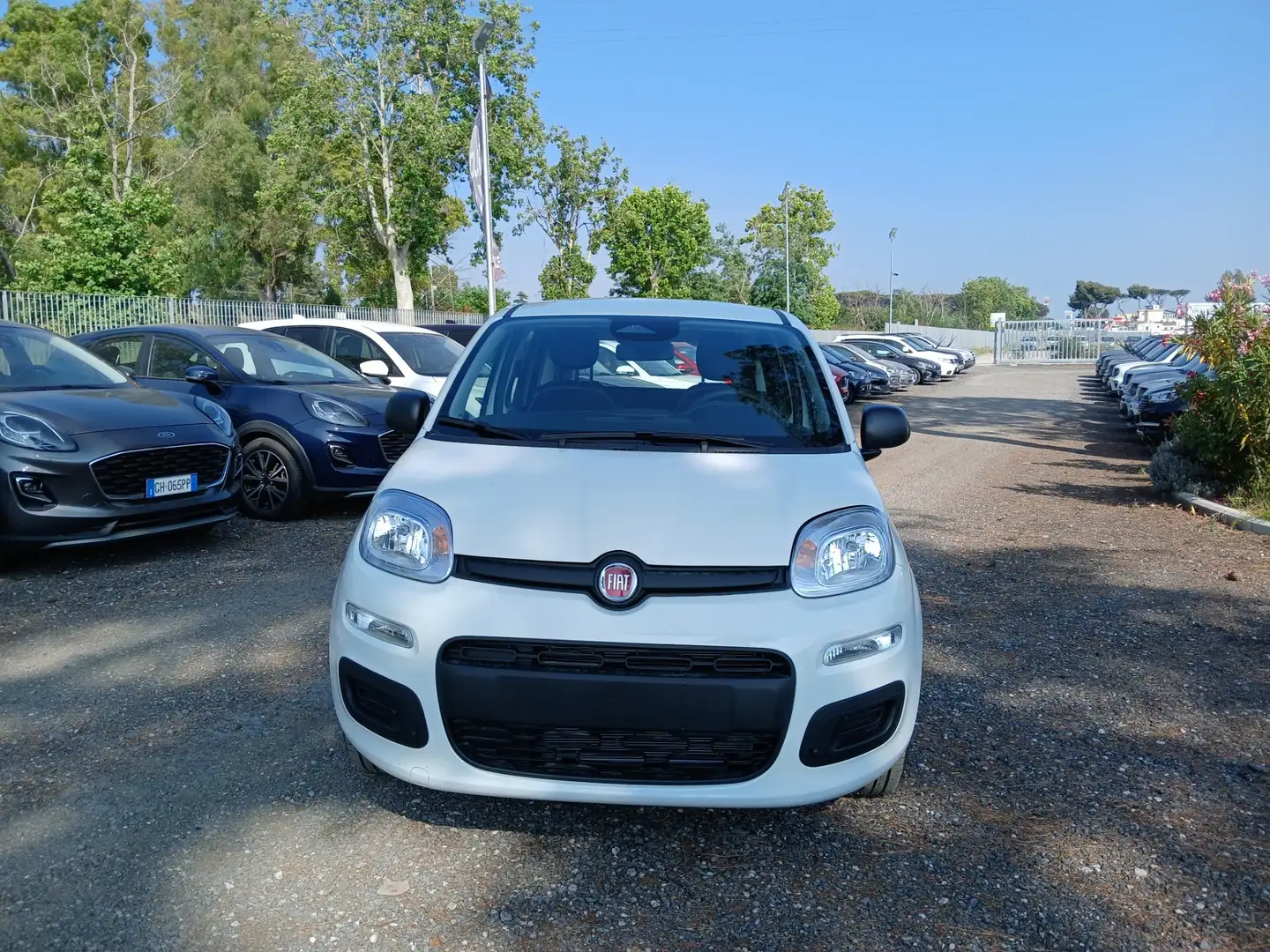 Fiat Panda 1.0 FireFly S&S Hybrid Blanc - 1