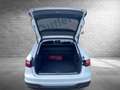 Audi A4 40 TDI quattro Weiß - thumbnail 21