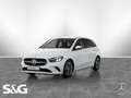 Mercedes-Benz B 200 Progressive MBUX+RüKam+17Zoll+Lenkradhzg Weiß - thumbnail 1