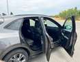 Ford Kuga Kuga III 2022 1.5 ecoblue ST-Line 2wd 120cv Gris - thumbnail 10