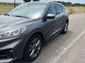 Ford Kuga Kuga III 2022 1.5 ecoblue ST-Line 2wd 120cv Gris - thumbnail 2