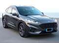 Ford Kuga Kuga III 2022 1.5 ecoblue ST-Line 2wd 120cv Gris - thumbnail 1