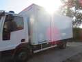 Trucks-Lkw Iveco Eurocargo ML120EL22 - 6Cyl - ingericht Weiß - thumbnail 4