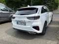 Kia Ceed / cee'd Ceed 1.5 T-GDI GT-Line Technik Paket, DCT Weiß - thumbnail 4