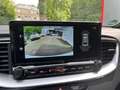 Kia Ceed / cee'd Ceed 1.5 T-GDI GT-Line Technik Paket, DCT Weiß - thumbnail 13