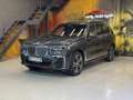 BMW X7 xDrive 30d M Sportpaket LASER~HUD~SKY LOUNGE~ Gris - thumbnail 3