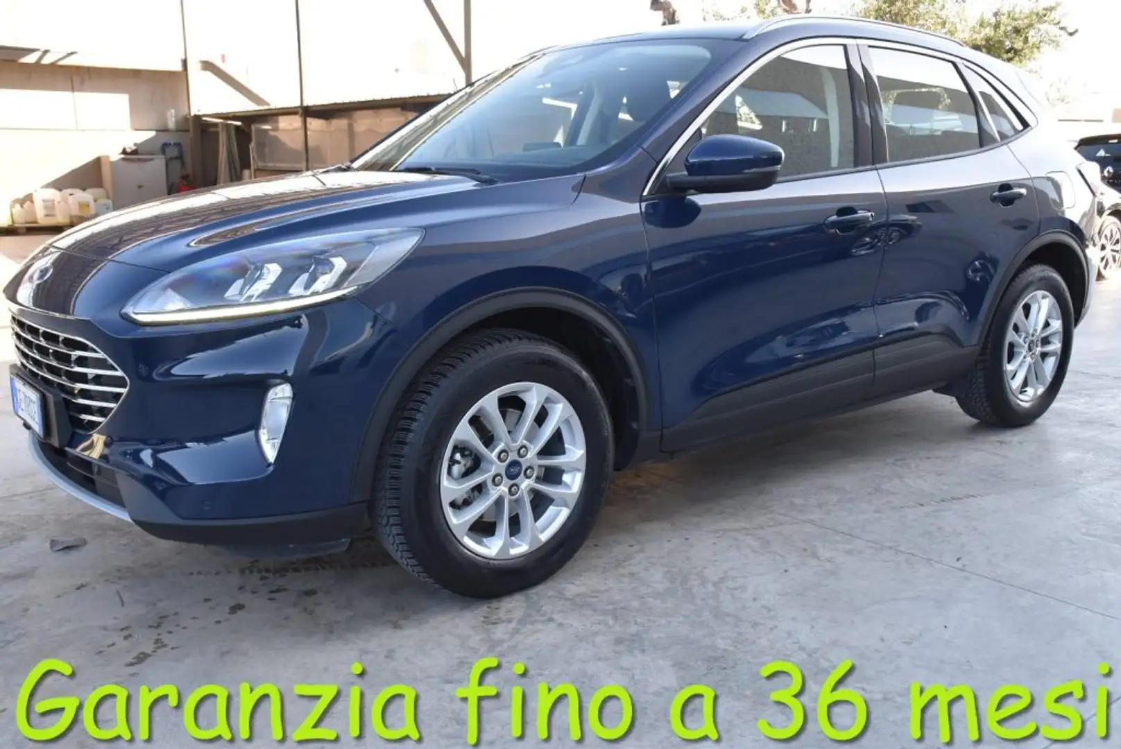 Ford Kuga 1.5 EcoBlue 120 CV aut. 2WD Titanium Business Blu/Azzurro - 1