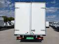 Ford Transit FT 350 L4 Chasis Trend Tr. Tra. 130 Blanco - thumbnail 7