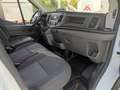 Ford Transit FT 350 L4 Chasis Trend Tr. Tra. 130 Blanco - thumbnail 11