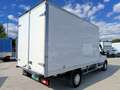 Ford Transit FT 350 L4 Chasis Trend Tr. Tra. 130 Blanco - thumbnail 6