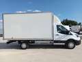 Ford Transit FT 350 L4 Chasis Trend Tr. Tra. 130 Blanco - thumbnail 4