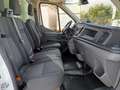 Ford Transit FT 350 L4 Chasis Trend Tr. Tra. 130 Blanco - thumbnail 12