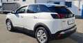 Peugeot 3008 3008  1.5 bluehdi Active Unico Proprietario Bianco - thumbnail 2