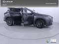 Lexus NX 350h Executive 2WD Gris - thumbnail 28