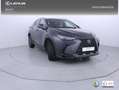 Lexus NX 350h Executive 2WD Gris - thumbnail 26