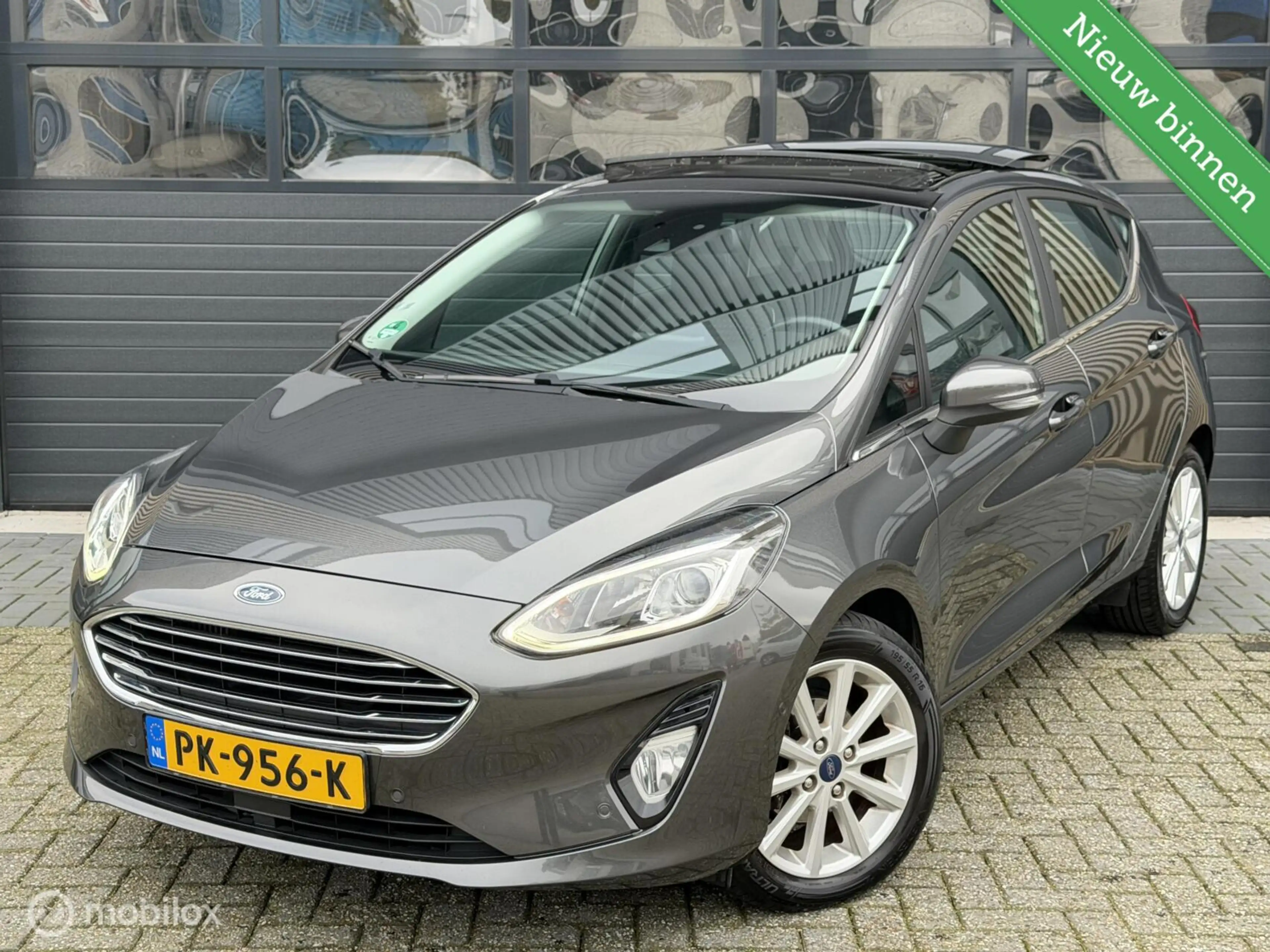 Ford Fiesta 1.0 EcoBoost Titanium | Pano | B&O | Camera |VOL