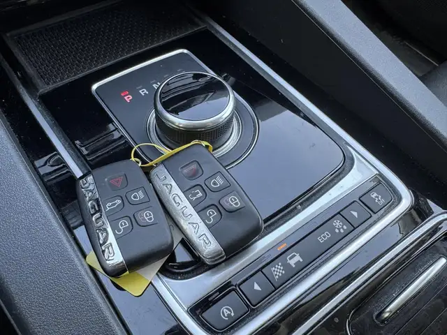 Jaguar F-Pace view 12